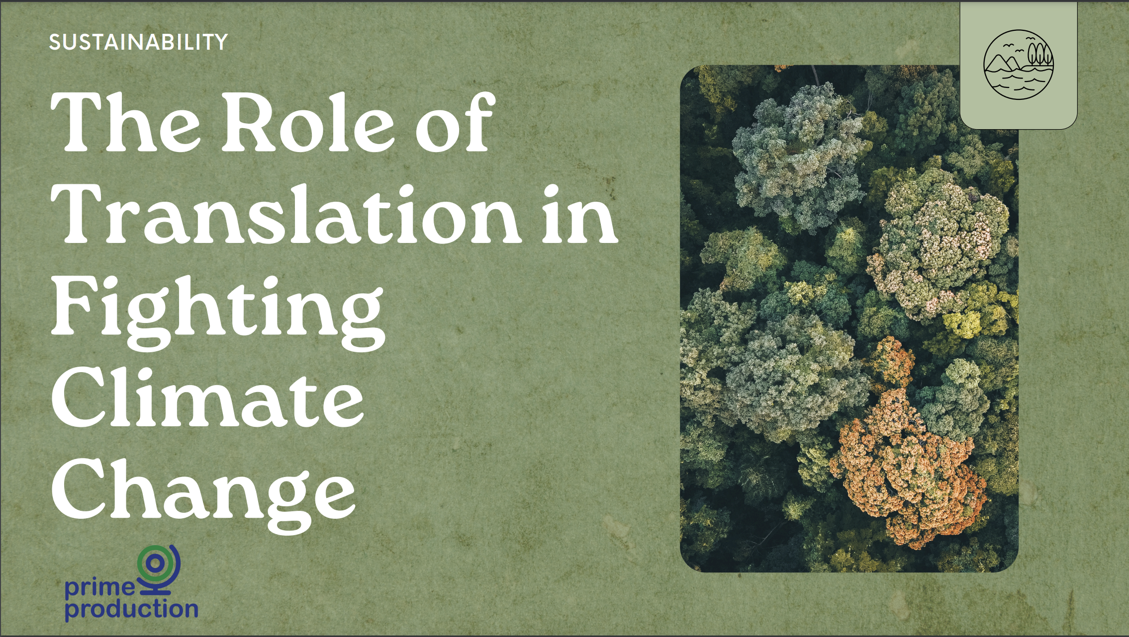 Translation and climate change